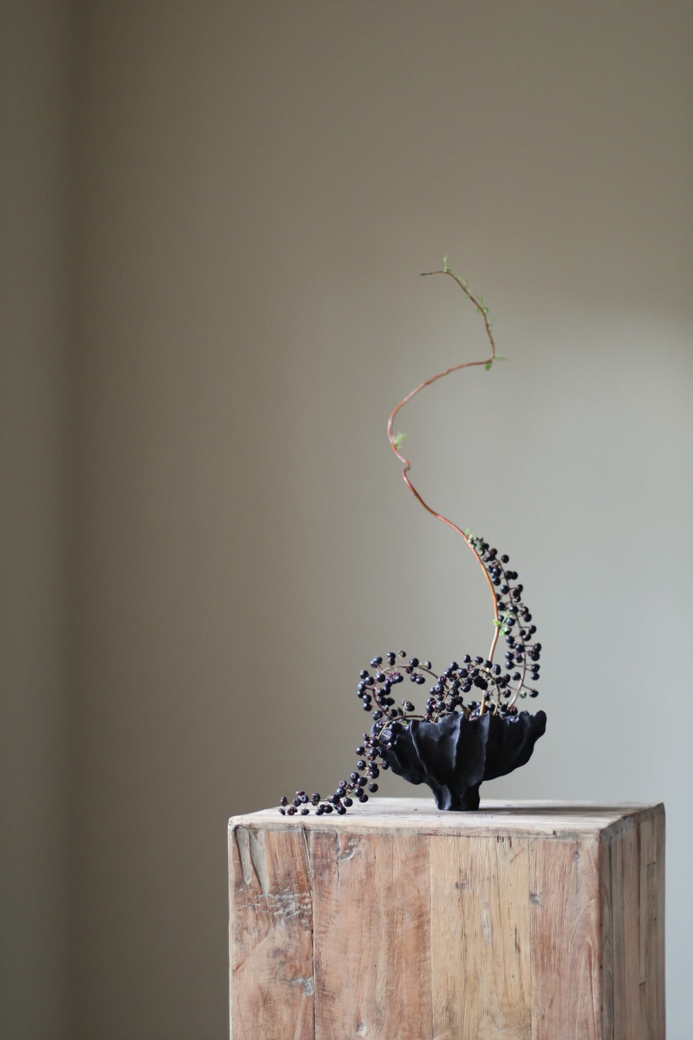 Acropora Ceramic Handsculpted Vase in Black INK by AA Ceramics Work of Art Inspired by Coral Reefs. Luxury Home Decor