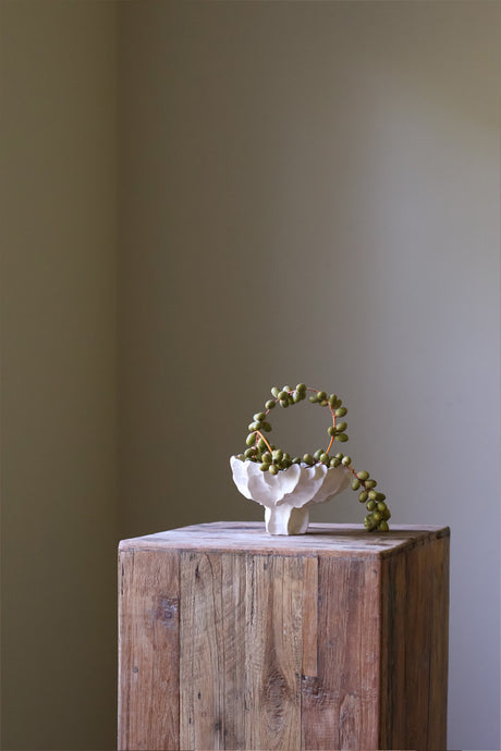 Acropora Ceramic Handsculpted Vase in Cream by AA Ceramics Work of Art Inspired by Coral Reefs. Luxury Home Decor