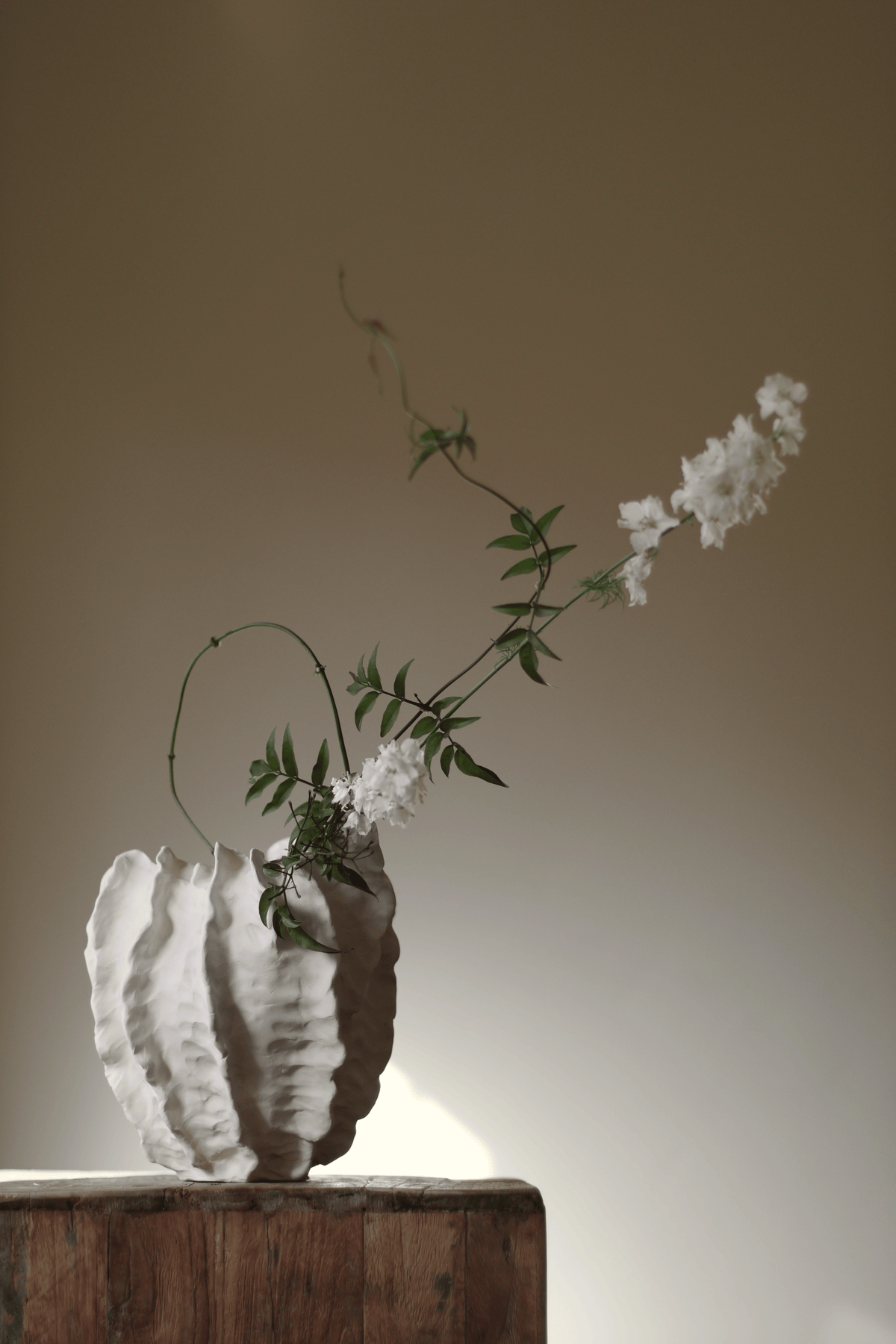 Great Barrier Reef Vase in Cream Handmade by AA Ceramics