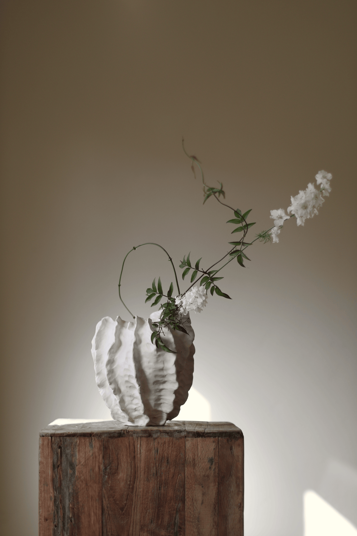 Great Barrier Reef Vase in Cream Handmade by AA Ceramics