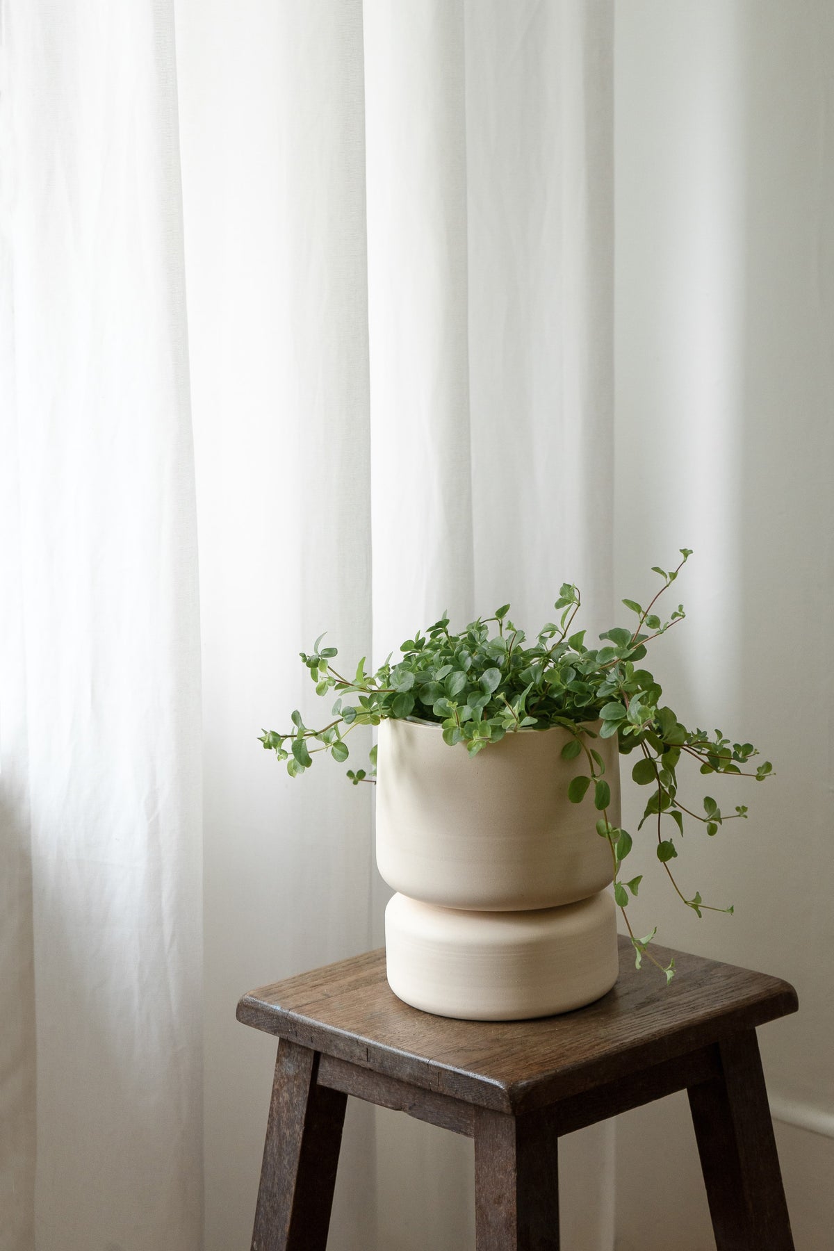 Crafted in cream with a sleek two-piece design, this stylish planter elevates any space. Featuring a removable top for easy water disposal or self-watering, it enhances your home décor while showcasing nature's beauty.