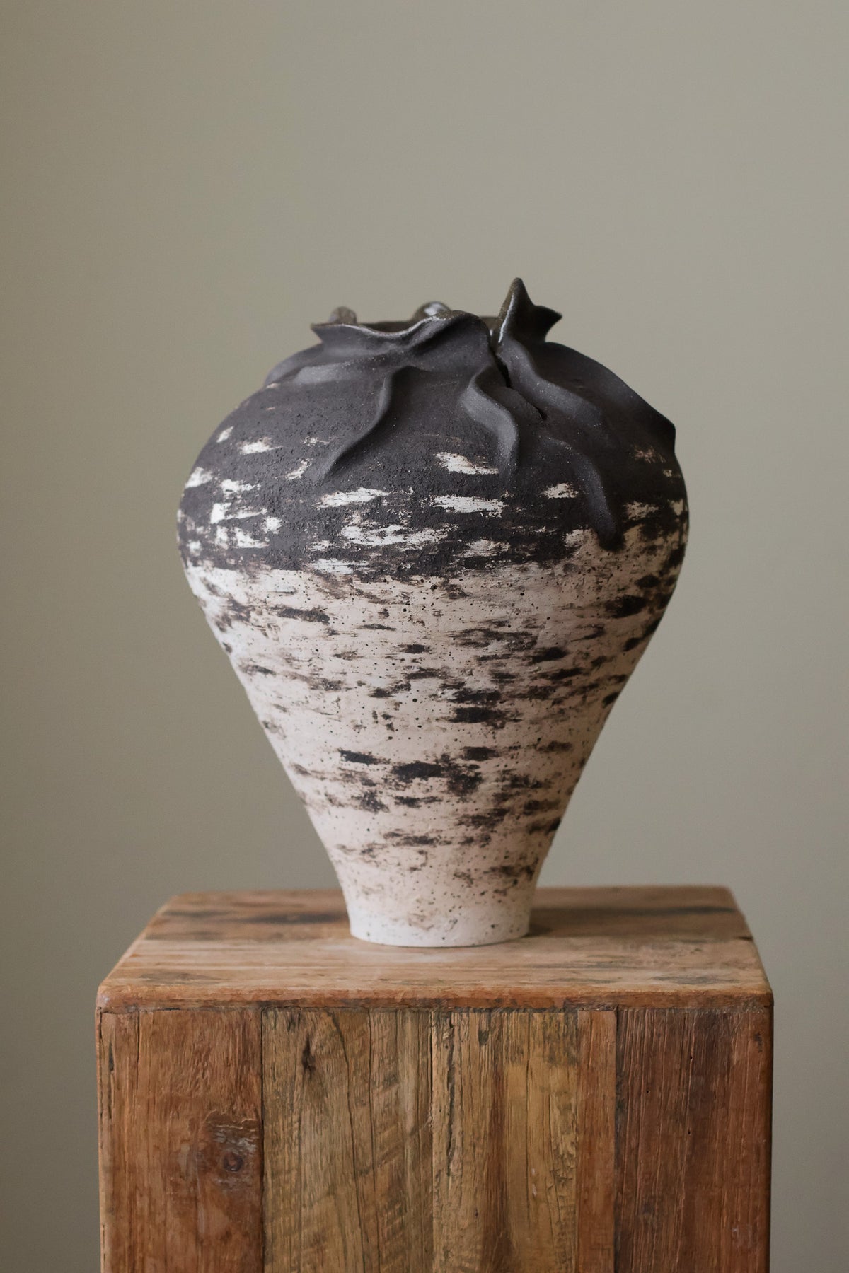 HYDRA VESSEL LARGE