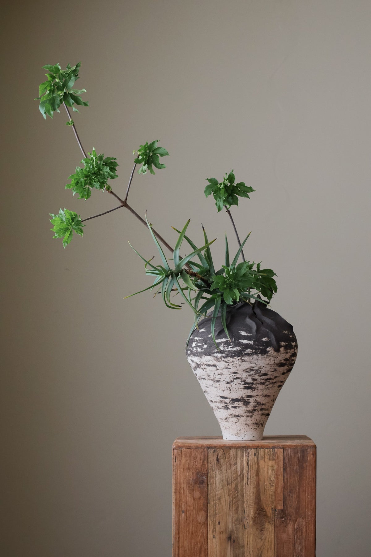 HYDRA VESSEL LARGE