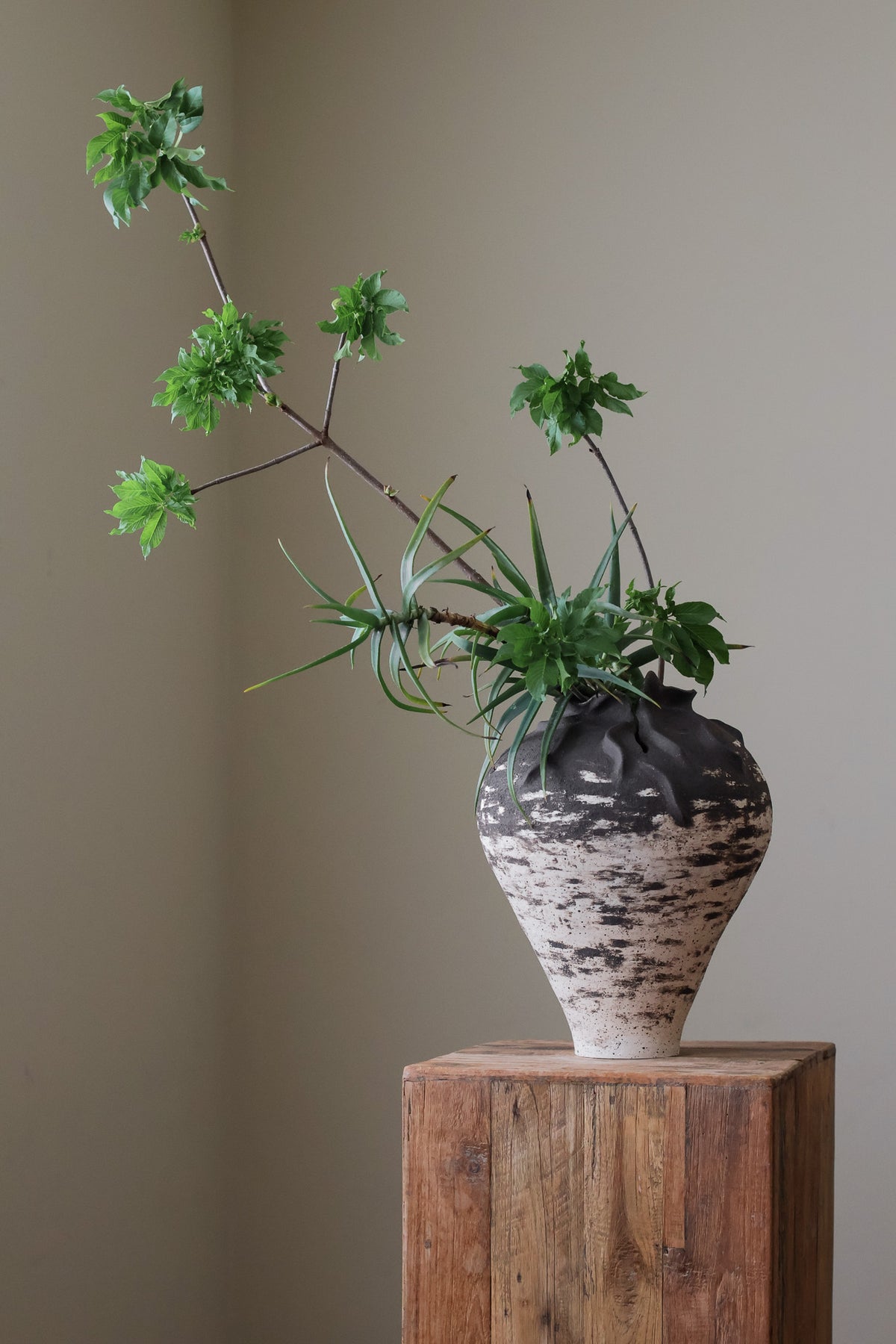 HYDRA VESSEL LARGE