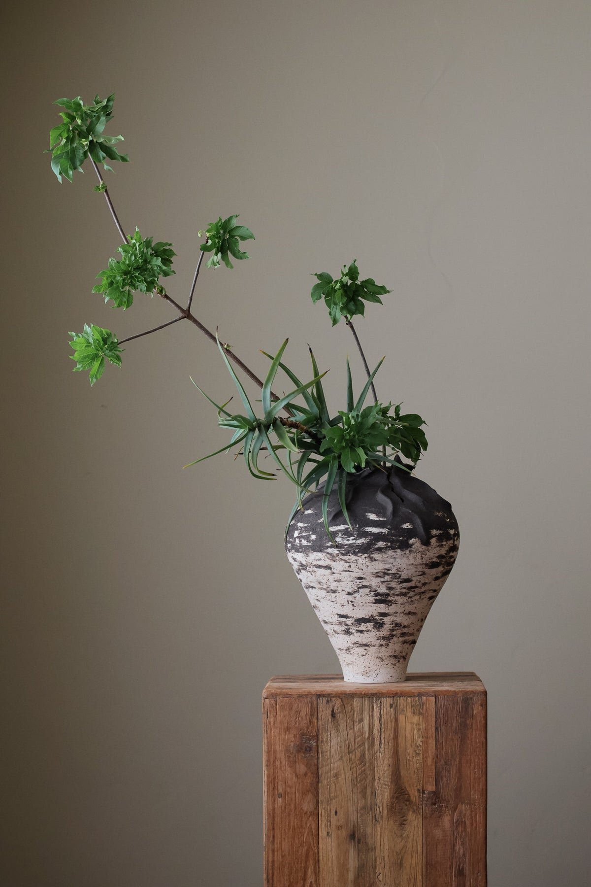 HYDRA VESSEL LARGE