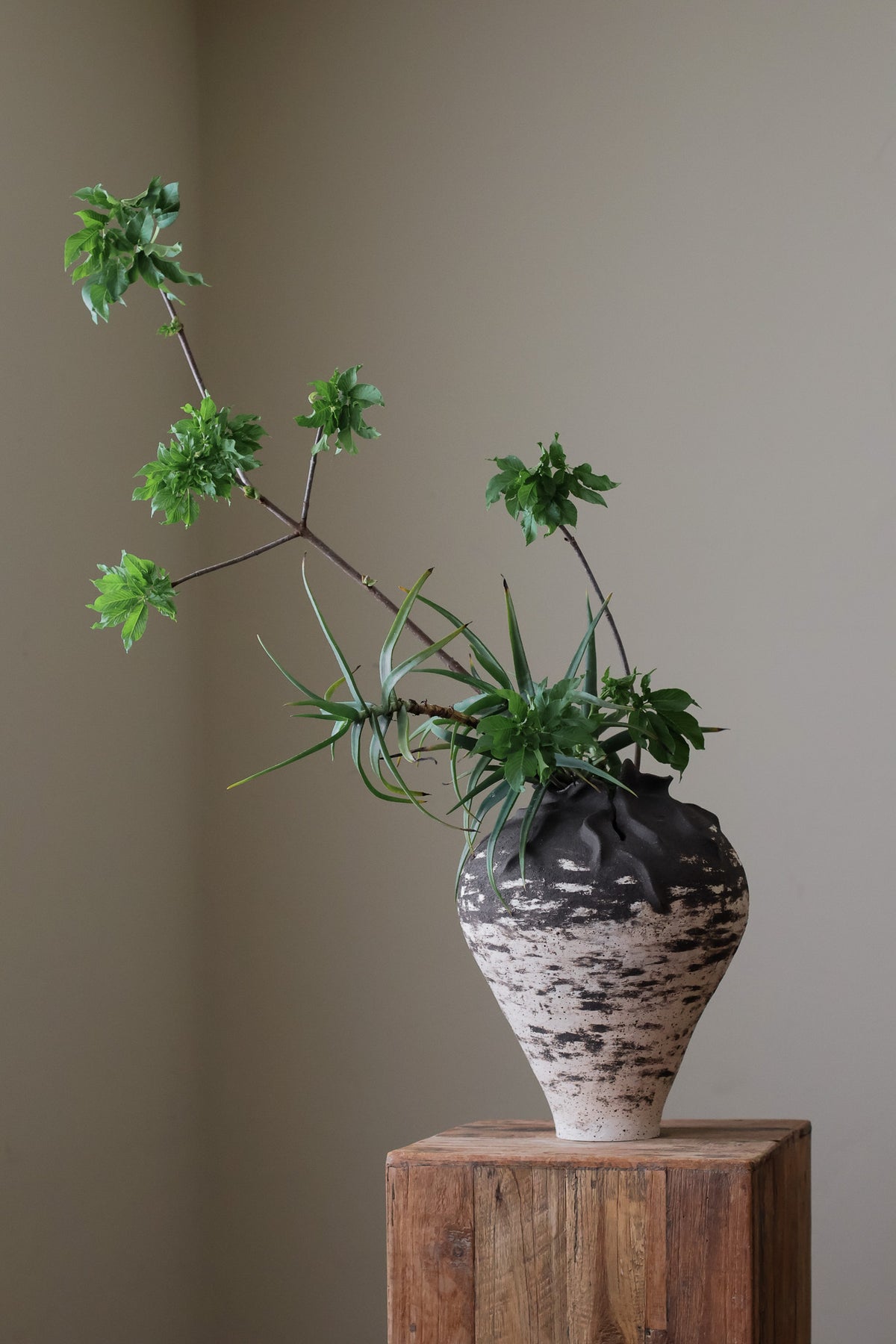 HYDRA VESSEL LARGE
