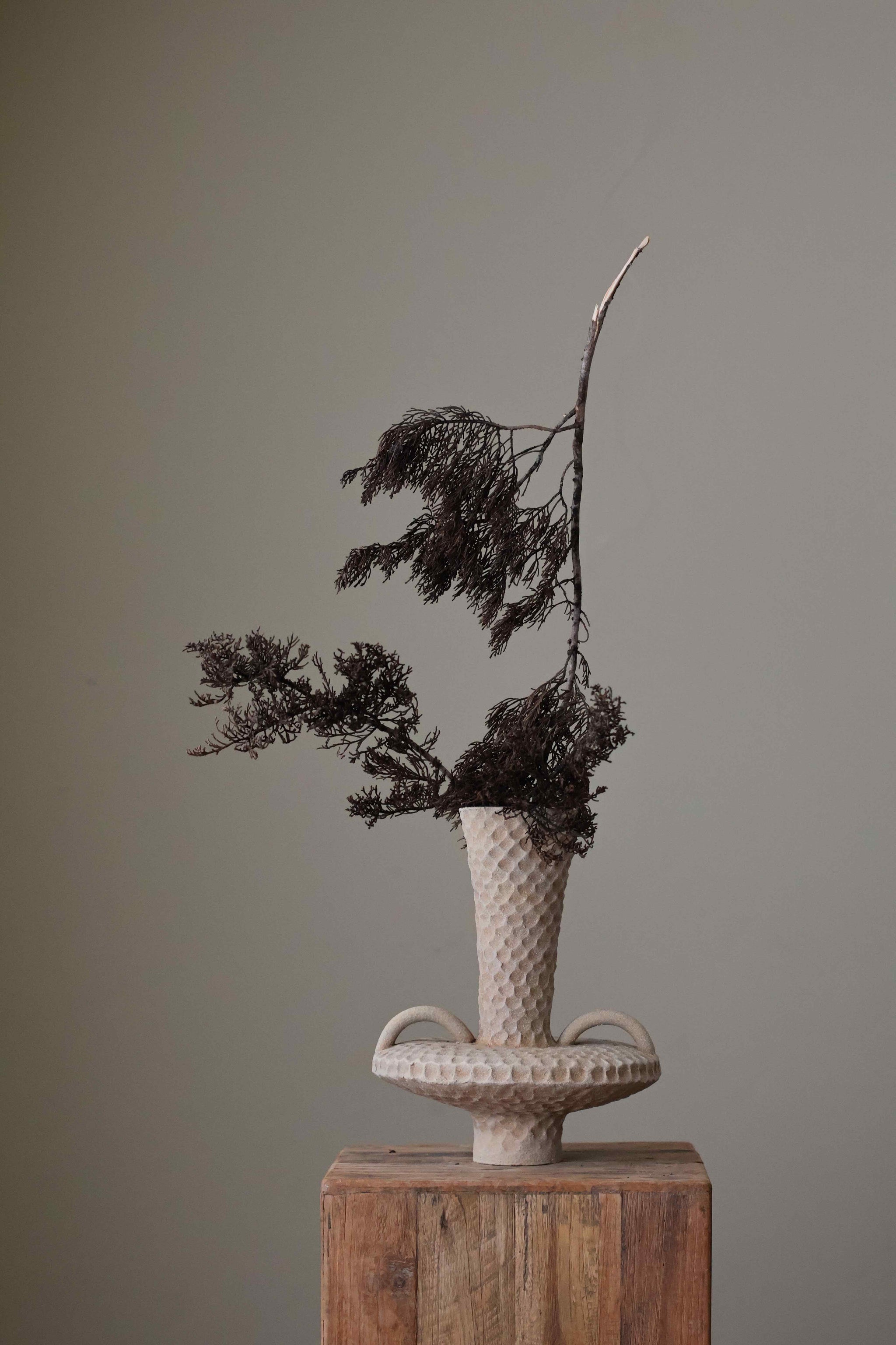 Shop Artful Objects Designed by Women — Exclusively at INK + PORCELAIN