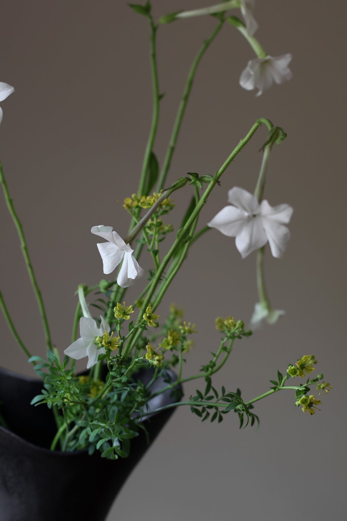 The Aires Sculptural Vessel INK by Karen Quirion, featuring fluid curves and a textured black exterior, creating a romantic yet modern aesthetic. Perfect for floral arrangements and as a striking interior centerpiece.