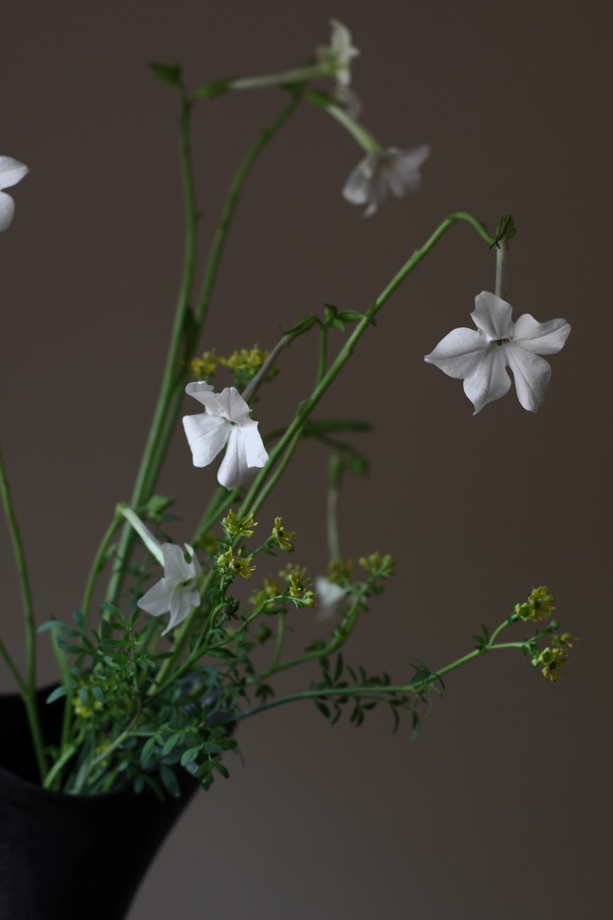 The Aires Sculptural Vessel INK by Karen Quirion, featuring fluid curves and a textured black exterior, creating a romantic yet modern aesthetic. Perfect for floral arrangements and as a striking interior centerpiece.