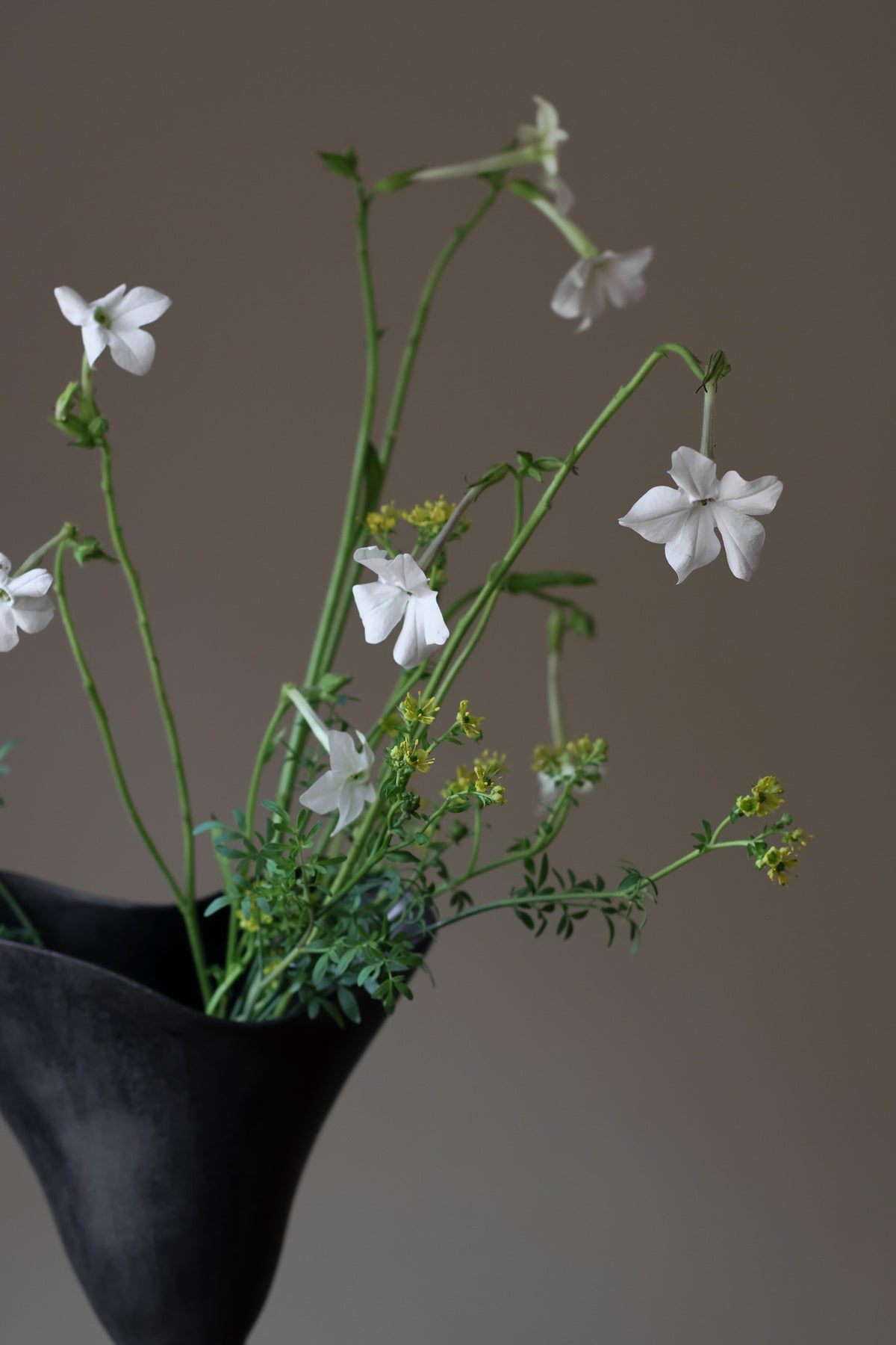 PRE-ORDER AIRES SCULPTURAL VESSEL INK