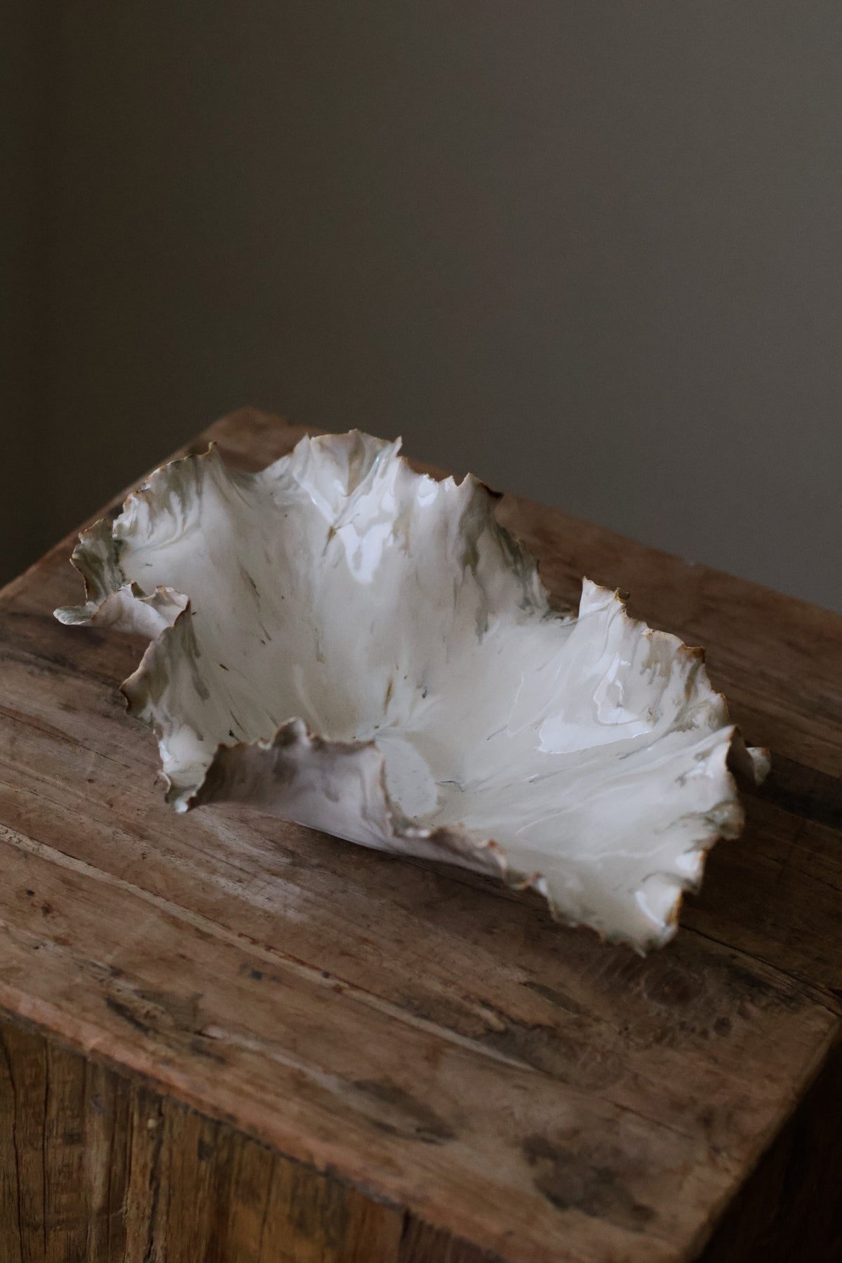 CORAL DISH BIRCH