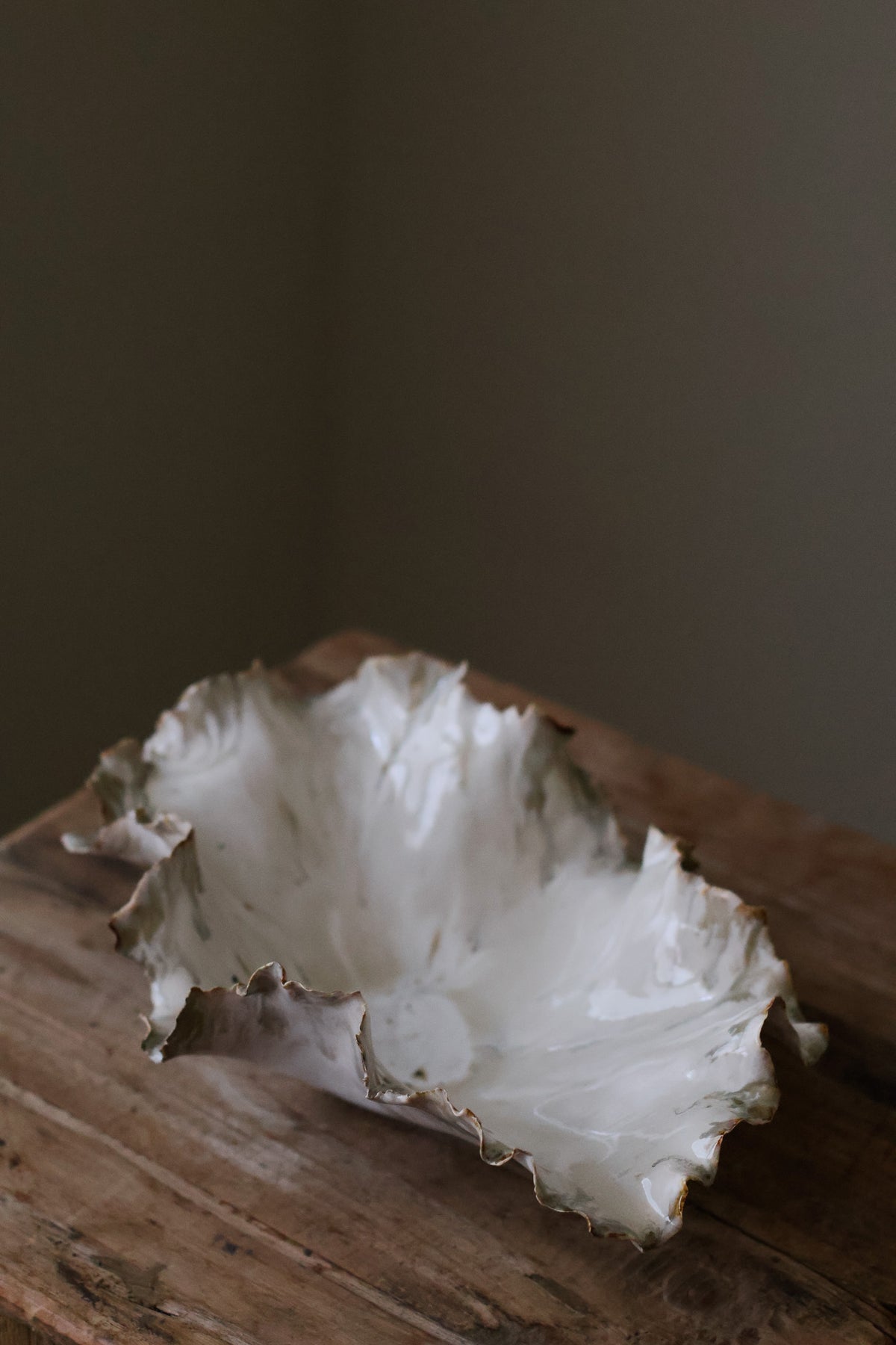CORAL DISH BIRCH