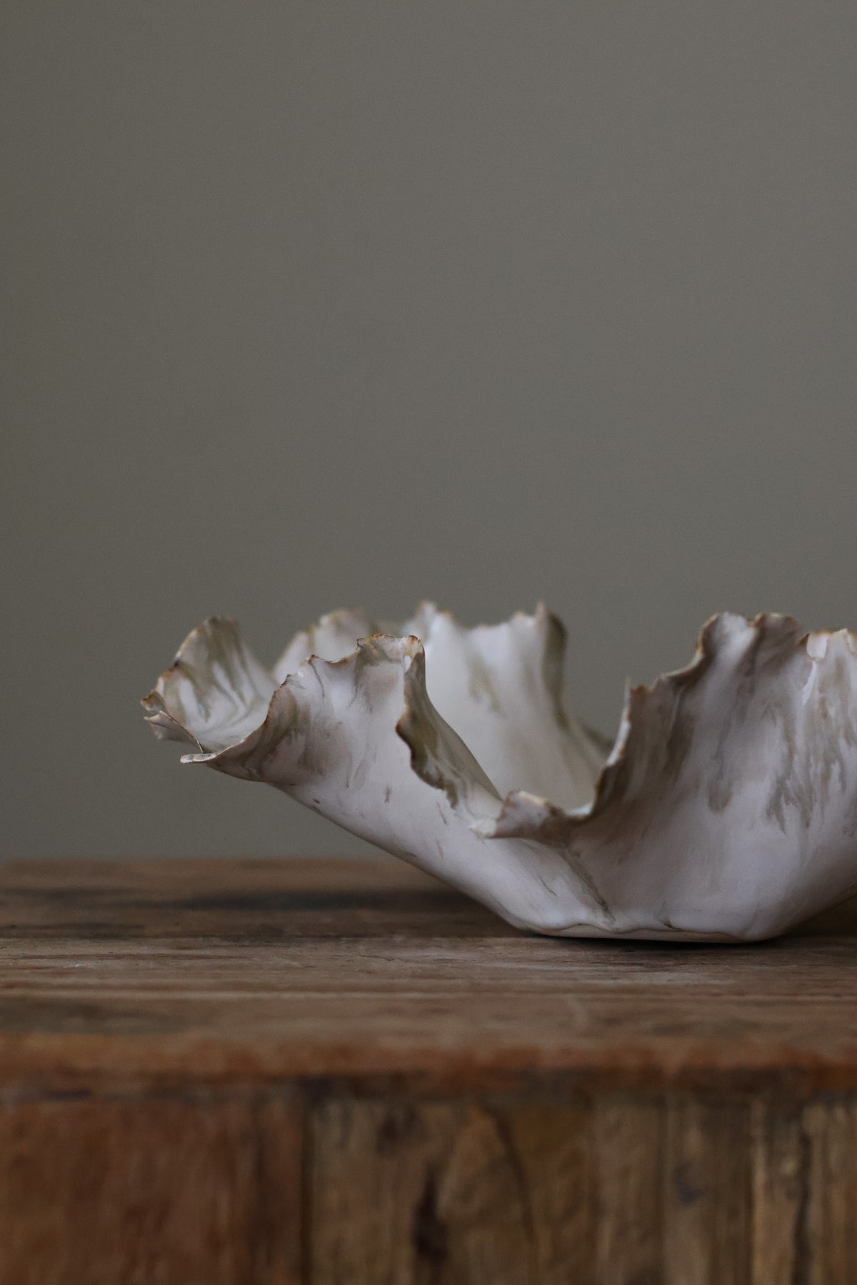 CORAL DISH BIRCH