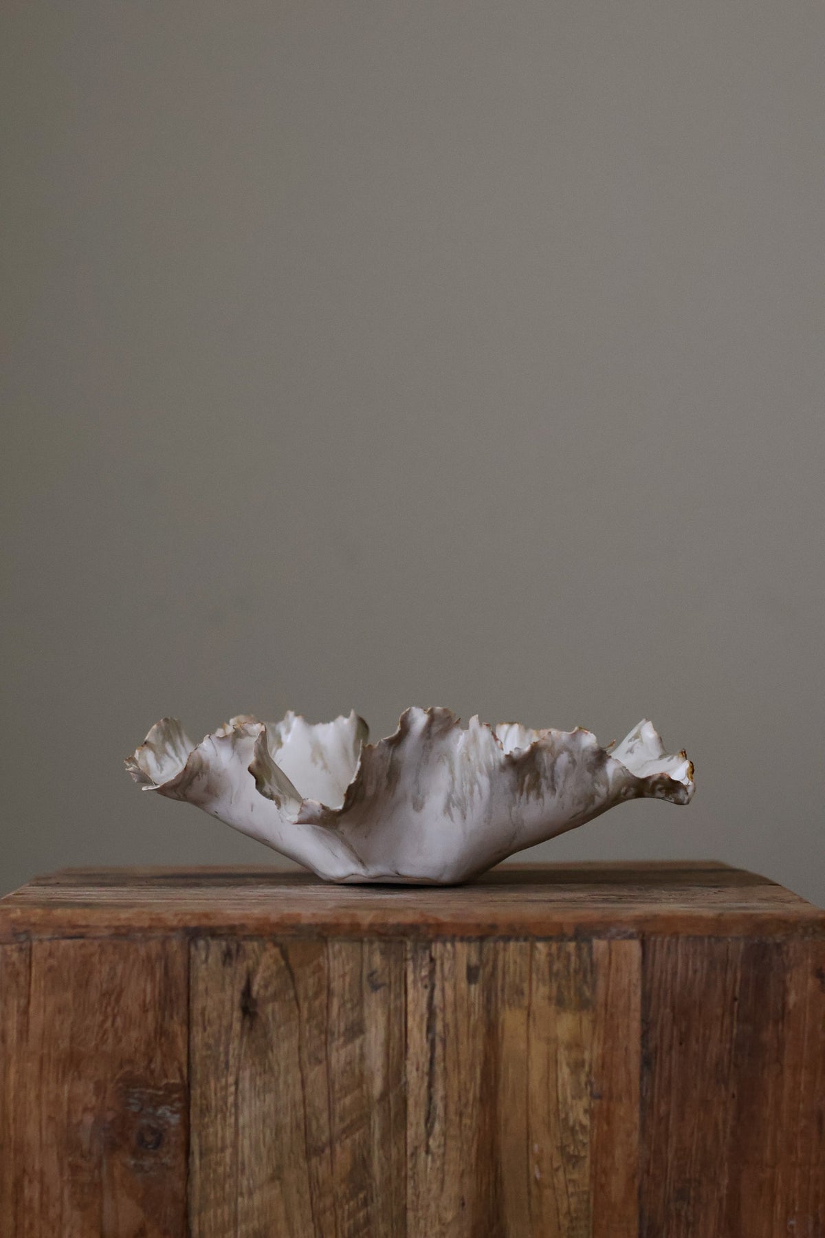 CORAL DISH BIRCH