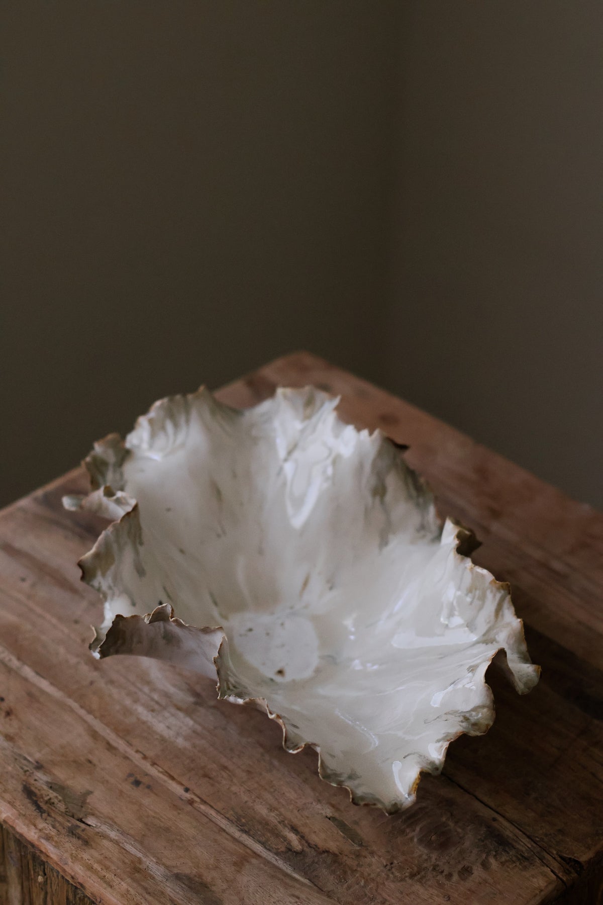 CORAL DISH BIRCH