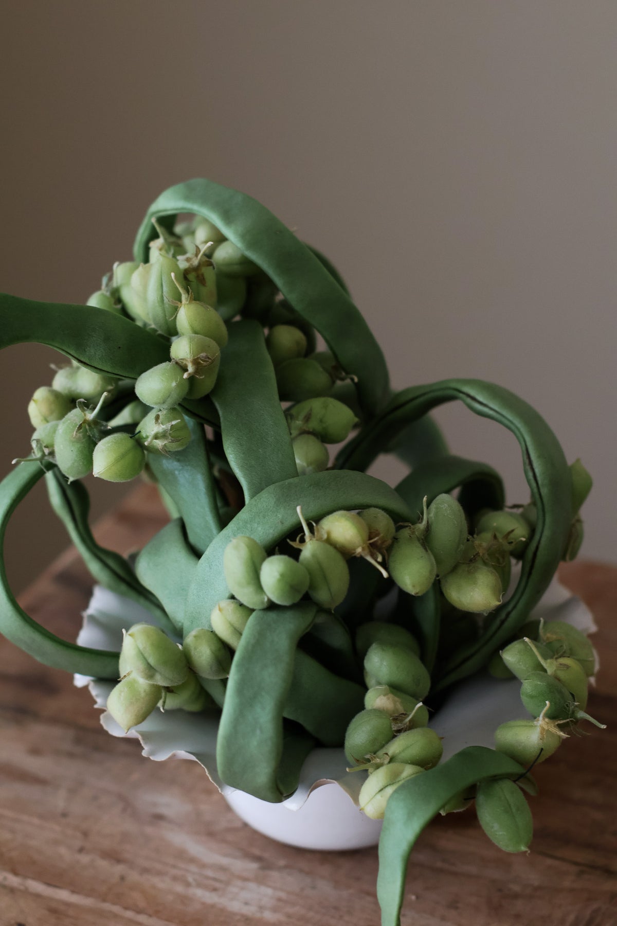 LOW FRAYED BOWL MILK