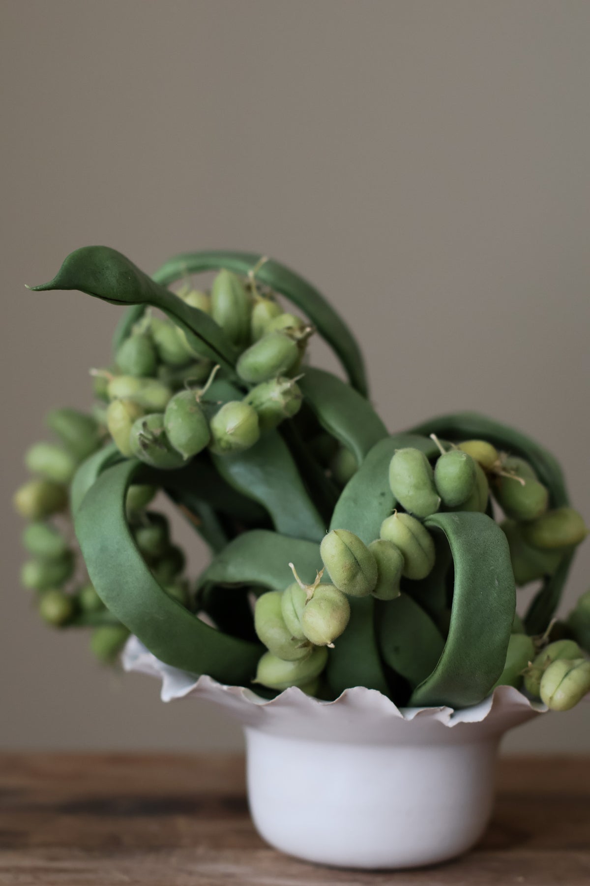 LOW FRAYED BOWL MILK