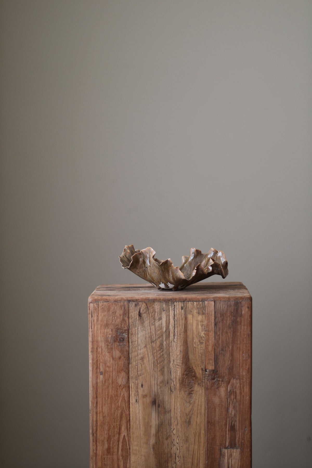CORAL DISH EARTH