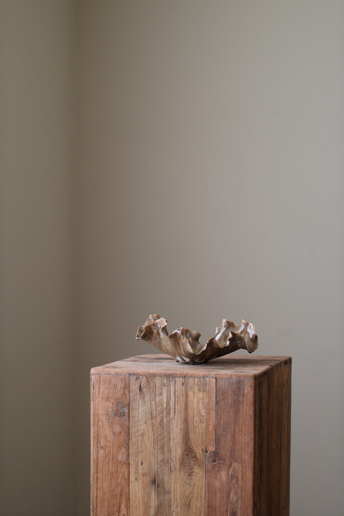 CORAL DISH EARTH