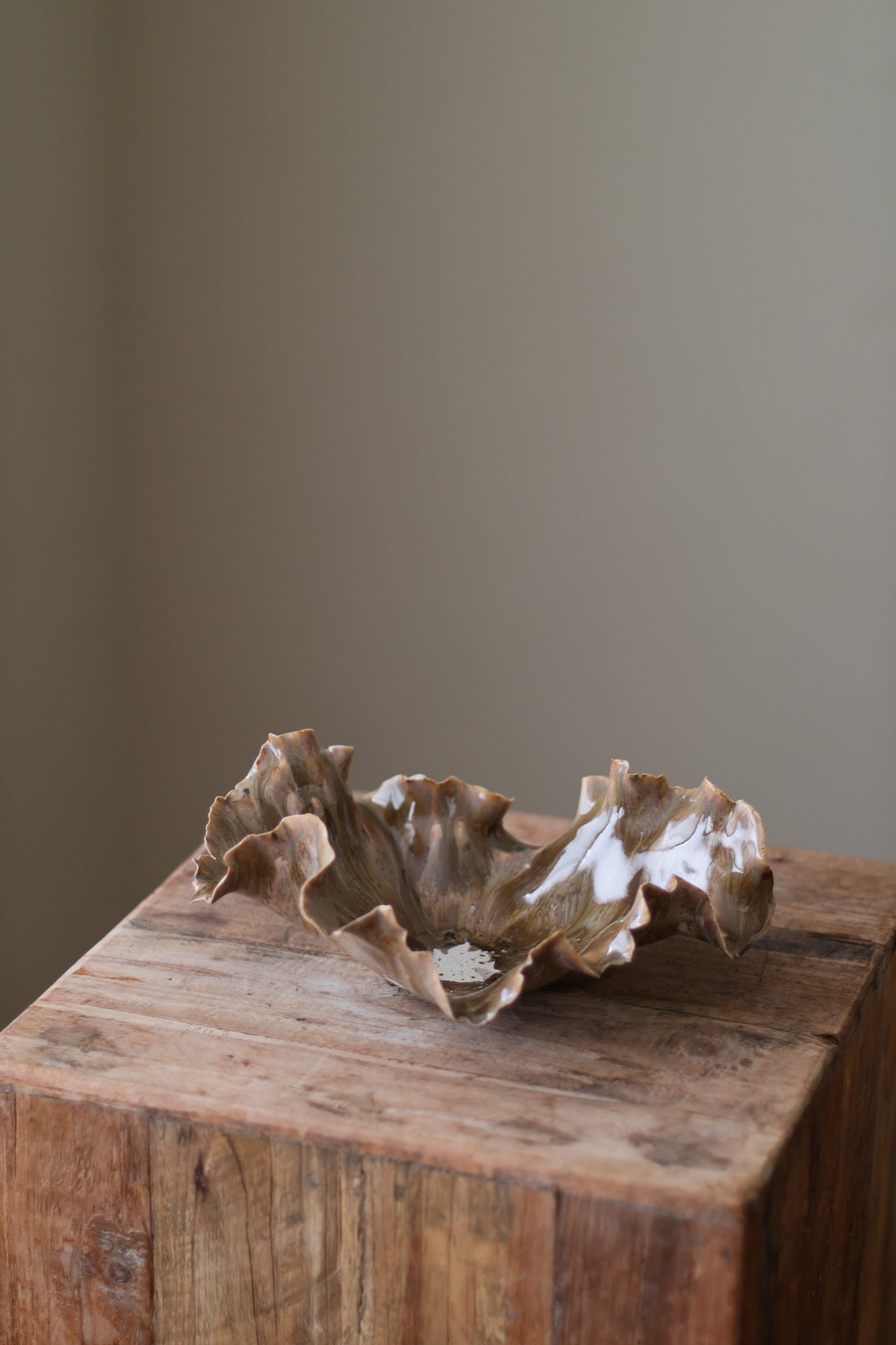 CORAL DISH EARTH