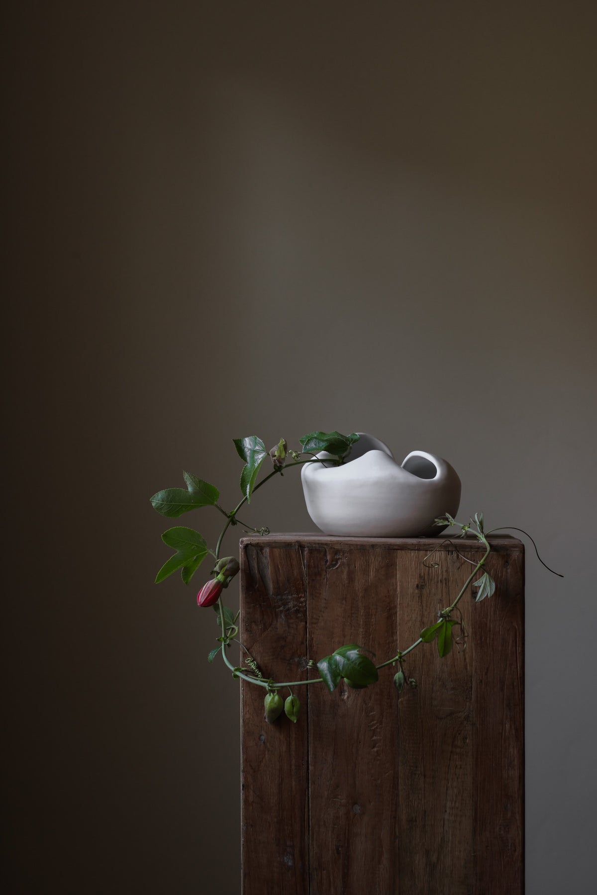 Sculptural white porcelain vase with fluid form and distinctive fold dividing it into asymmetrical halves, modern centerpiece.