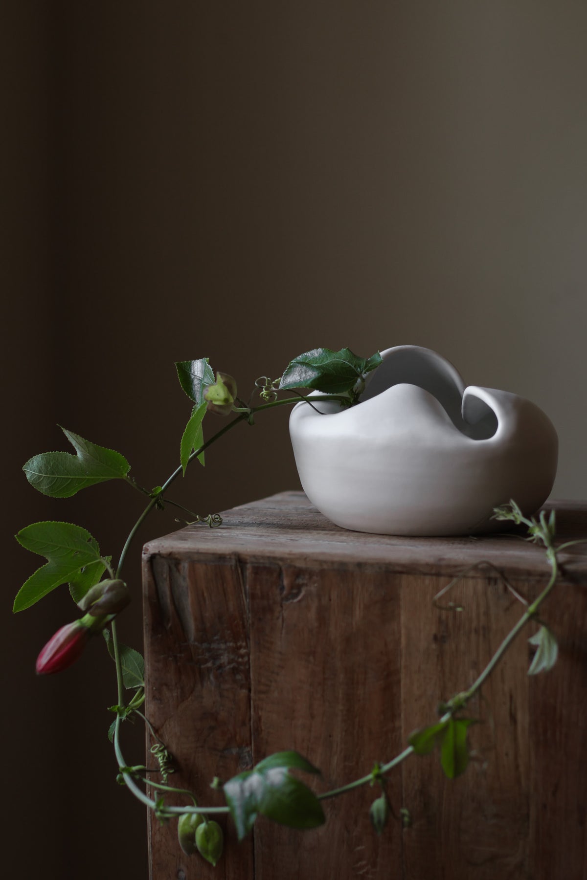 Sculptural white porcelain vase with fluid form and distinctive fold dividing it into asymmetrical halves, modern centerpiece.
