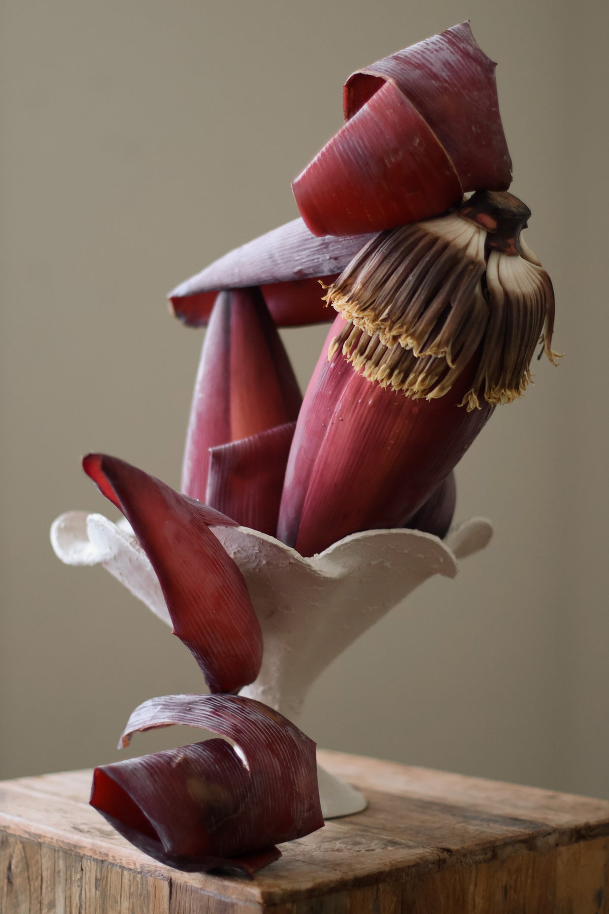 ALVEA SCULPTURAL VESSEL CREAM