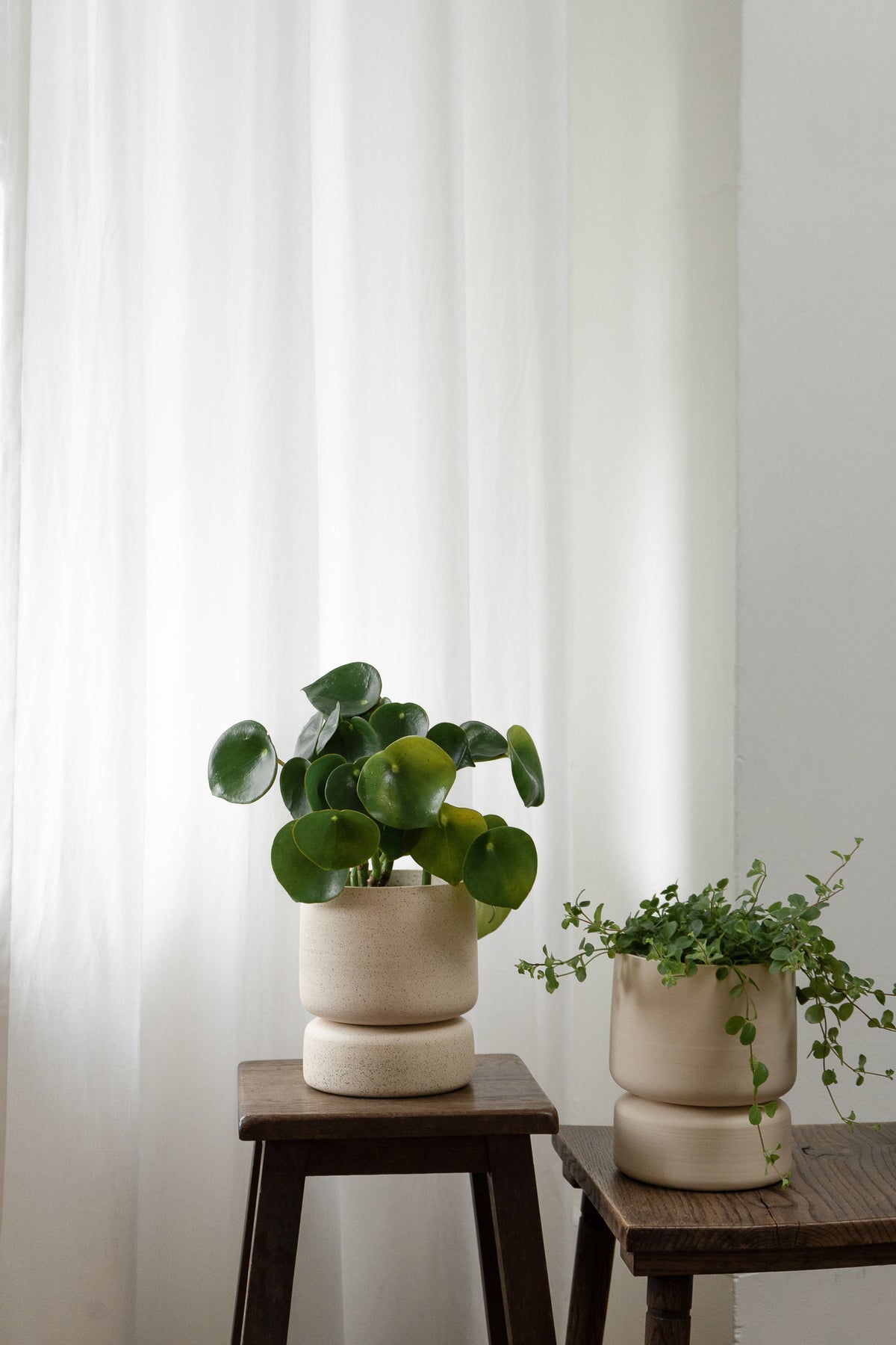 Crafted in cream with a sleek two-piece design, this stylish planter elevates any space. Featuring a removable top for easy water disposal or self-watering, it enhances your home décor while showcasing nature's beauty.