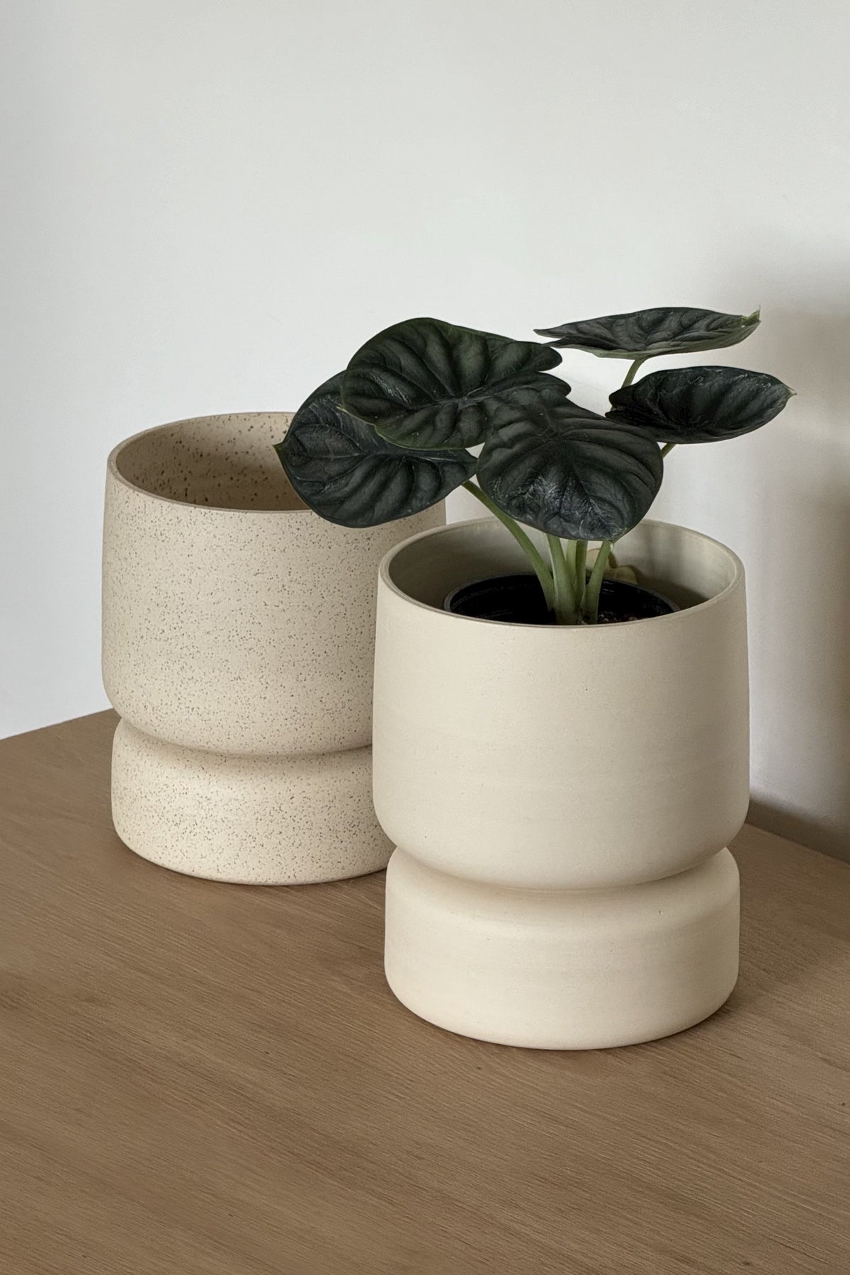 Crafted in cream with a sleek two-piece design, this stylish planter elevates any space. Featuring a removable top for easy water disposal or self-watering, it enhances your home décor while showcasing nature's beauty.