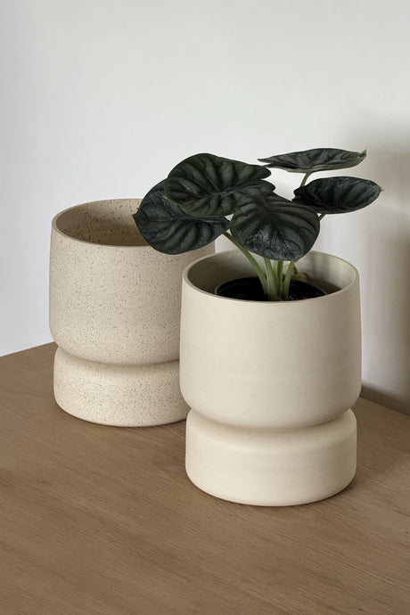 Crafted in cream with a sleek two-piece design, this stylish planter elevates any space. Featuring a removable top for easy water disposal or self-watering, it enhances your home décor while showcasing nature's beauty.