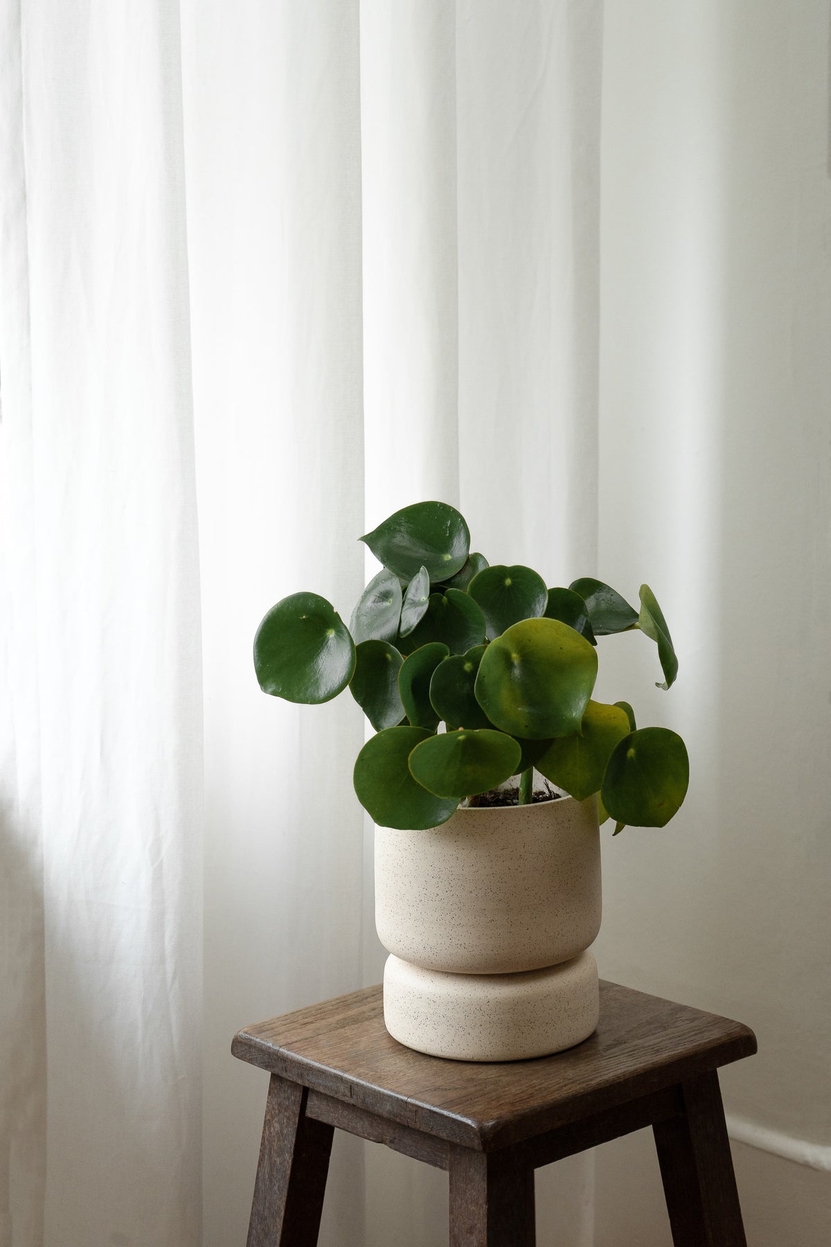 PEDESTAL PLANTER